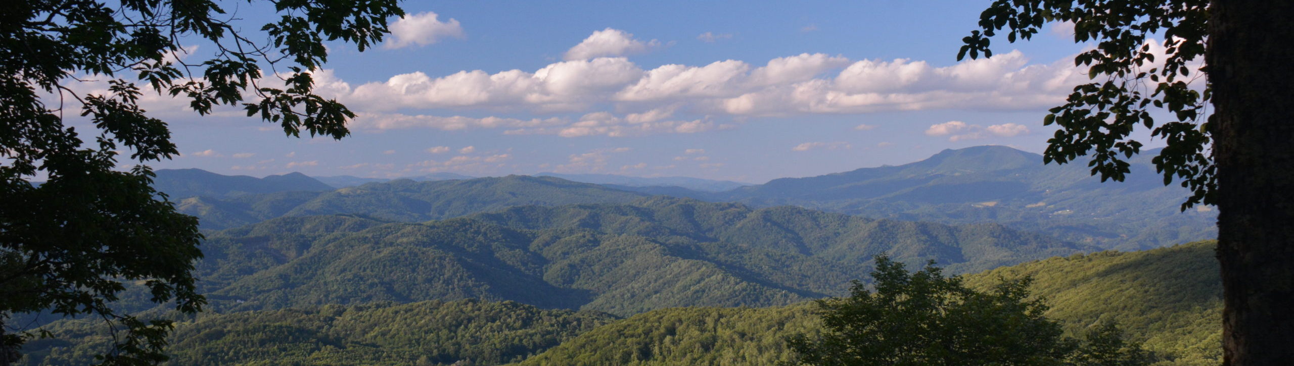 Appalachian Mountain Dreams