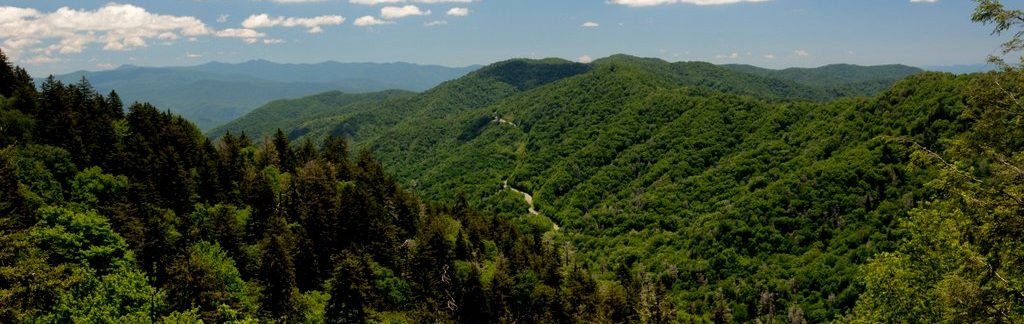 Appalachian Mountain Dreams